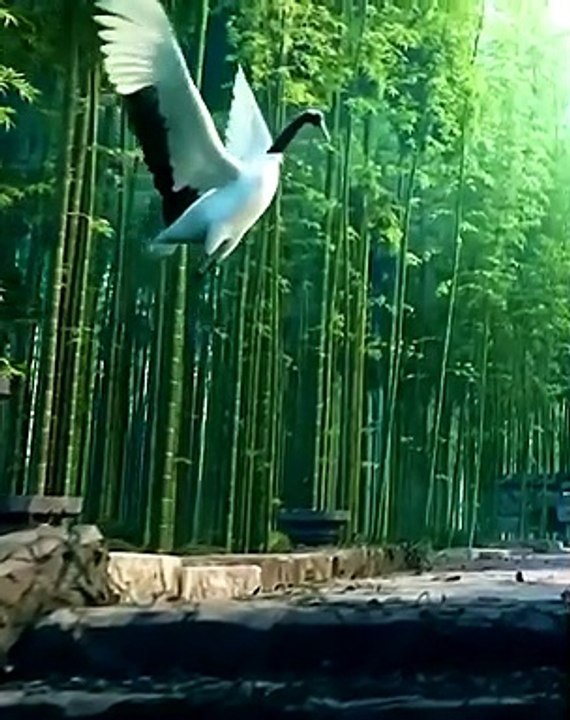 Best videos, Top videos, Viral videos Funny videos no. 147