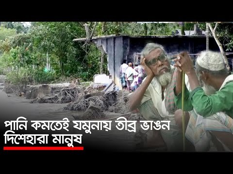 পানি কমতেই যমুনায় তীব্র ভাঙন, দিশেহারা মানুষ | Jagonews24.com