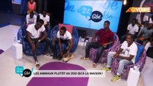Extrait de l'émission ON SE DIT LES GBE  Les animaux plutôt au zoo qu'à la maison !