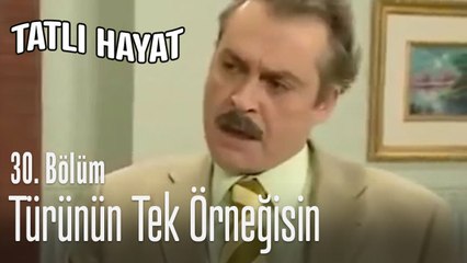 Türünün tek örneğisin - Tatlı Hayat 30. Bölüm