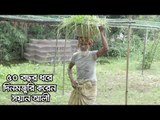 ৫০ বছর ধরে দিনমজুরি করেন সয়ান আলী | jagonews24.com