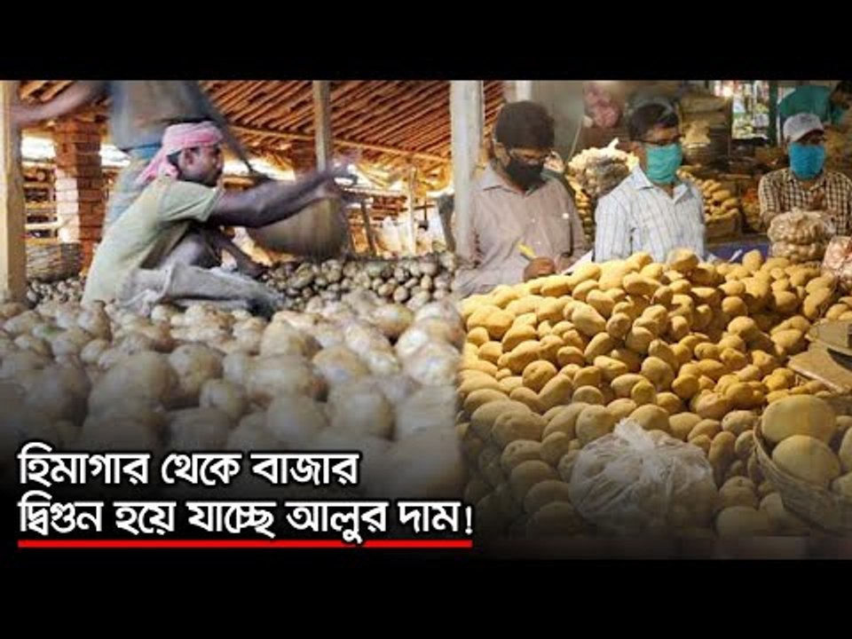হিমাগার থেকে বাজার, দ্বিগুন হয়ে যাচ্ছে আলুর দা...