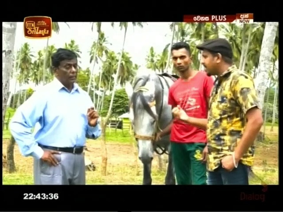 Wenasa 22-04-2021 Part 1