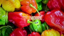 DABALIS DE CHEZ NOUS_ SOKOSSOKO DE BOEUF DU LUNDI AU VENDREDI À 13H00 — Dailymotion