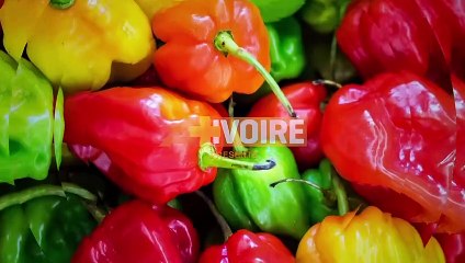 LES DABALIS DE CHEZ NOUS - ALLOCO BURGER — Dailymotion