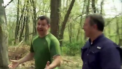 Orca who likes sharks