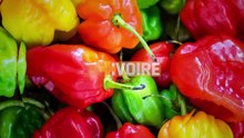 LES DABALIS DE CHEZ NOUS - MEDAILLON DE FILETS DE BOEUF AUX EPINARDS — Dailymotion