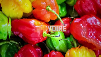 LES DABALIS DE CHEZ NOUS - OEUF POCHE SOUTROU — Dailymotion