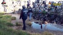Traffico di rifiuti dal Casertano verso Puglia e Abruzzo sequestrate 13mila tonnellate (22.04.21)