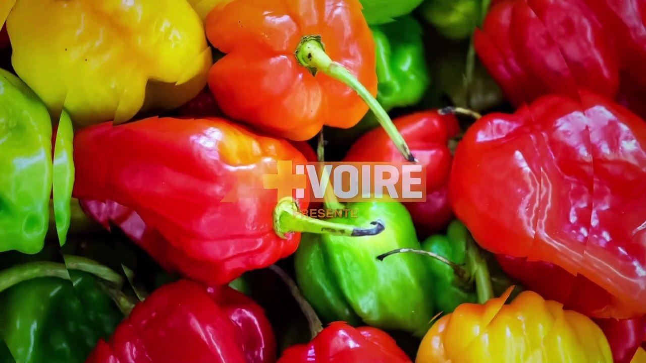 LES DABALIS DE CHEZ NOUS - OEUF POCHE SOUTROU — Dailymotion