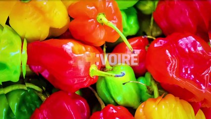 LES DABALIS DE CHEZ NOUS - TIMBALE DE LA MARAHOUE — Dailymotion