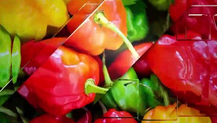 LES DABALIS DE CHEZ NOUS [CUISINE] _ DU LUNDI AU VENDREDI À 13h00 — Dailymotion
