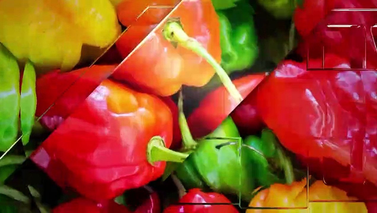 LES DABALIS DE CHEZ NOUS [CUISINE] _ DU LUNDI AU VENDREDI À 13h00 — Dailymotion