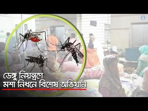 ডেঙ্গু নিয়ন্ত্রণে মশা নিধনে বিশেষ অভিযান | Jagonews24.com