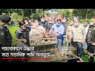 সাত শতাধিক পাখি অবমুক্ত | Jagonews24.com