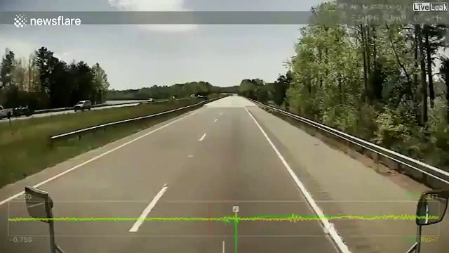 Un oiseau en vol lache un poisson sur un camion... Surprise