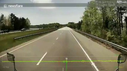 Un oiseau en vol lache un poisson sur un camion... Surprise