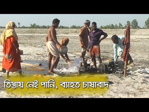 তিস্তায় নেই পানি, ব্যাহত চাষাবাদ | Jagonews24.com