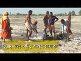 তিস্তায় নেই পানি, ব্যাহত চাষাবাদ  | Jagonews24.com