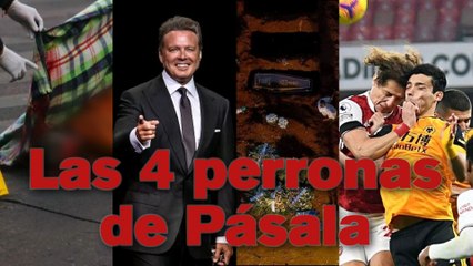 ¡AQUÍ ESTÁN LAS CUATRO PERRONAS DE PÁSALA!