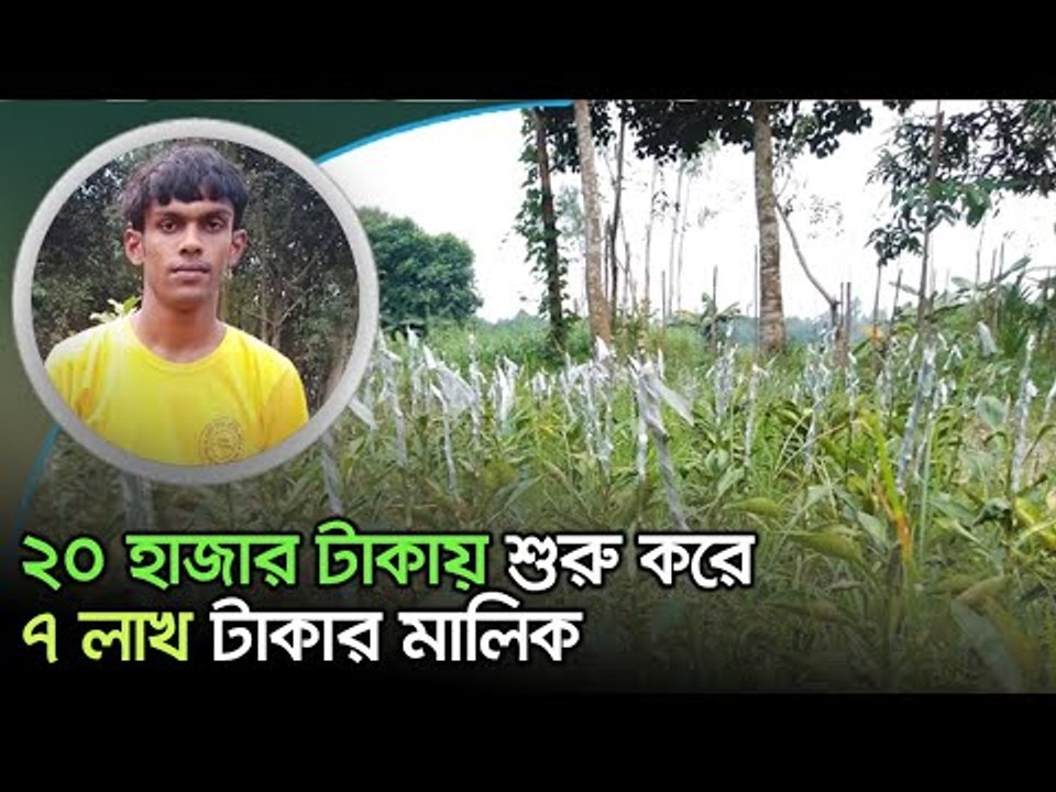 ২০ হাজার টাকায় শুরু করে ৭ লাখ টাকার মালিক  | Jagonews24.com