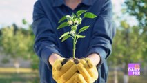 Desert Financial Credit Union Gives Back For Arbor Day