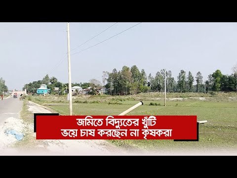 জমিতে বিদ্যুতের খুঁটি, ভয়ে চাষ করছেন না কৃষকরা | Jagonews24.com