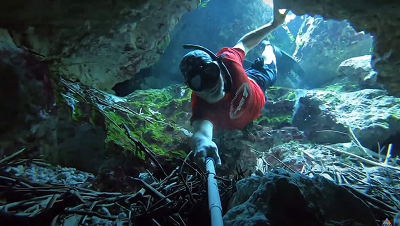 Exploring The Crystal Clear Dogwood Spring