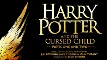 10 Controversial Theories About Harry Potter Confirmed By Jk Rowling
