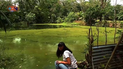 Visitamos Siquirres con Shakira para conocer su lado salvaje