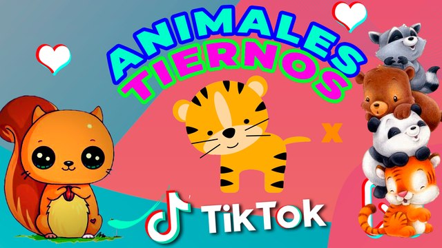 Las Mascotas y animalitos ¡MÁS TIERNOS QUE VERAS HOY!