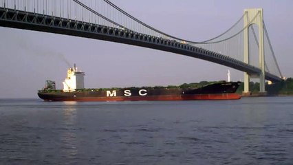 Cargo ship under bridge