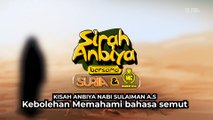 Nabi Sulaiman AS - Kebolehan Memahami Bahasa Semut
