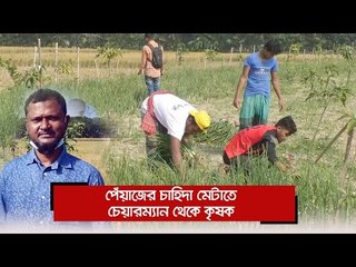 পেঁয়াজের চাহিদা মেটাতে চেয়ারম্যান থেকে কৃষক  | Jagonews24.com