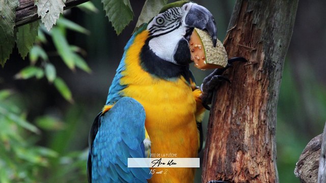 Séance photos des animaux du zoo de La Flèche / Photoshoot of animals at La Flèche zoo
