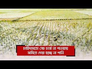 চাহিদামতো সেচ চার্জ না পাওয়ায় জমিতে দেয়া হচ্ছে না পানি | Jagonews24.com
