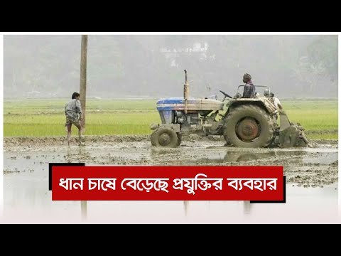 ধান চাষে বেড়েছে প্রযুক্তির ব্যবহার | Jagonews24.com