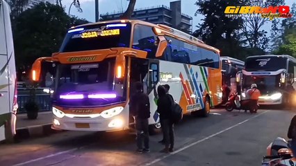 [Kejutan Lagi]Bus Banter Tim Pekalongan Po Haryanto Hercules Hr 199 Capolista Roling Grogol❗