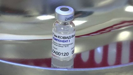 '스푸트니크' 안전성 검토 착수...백신 구원투수 될까? / YTN