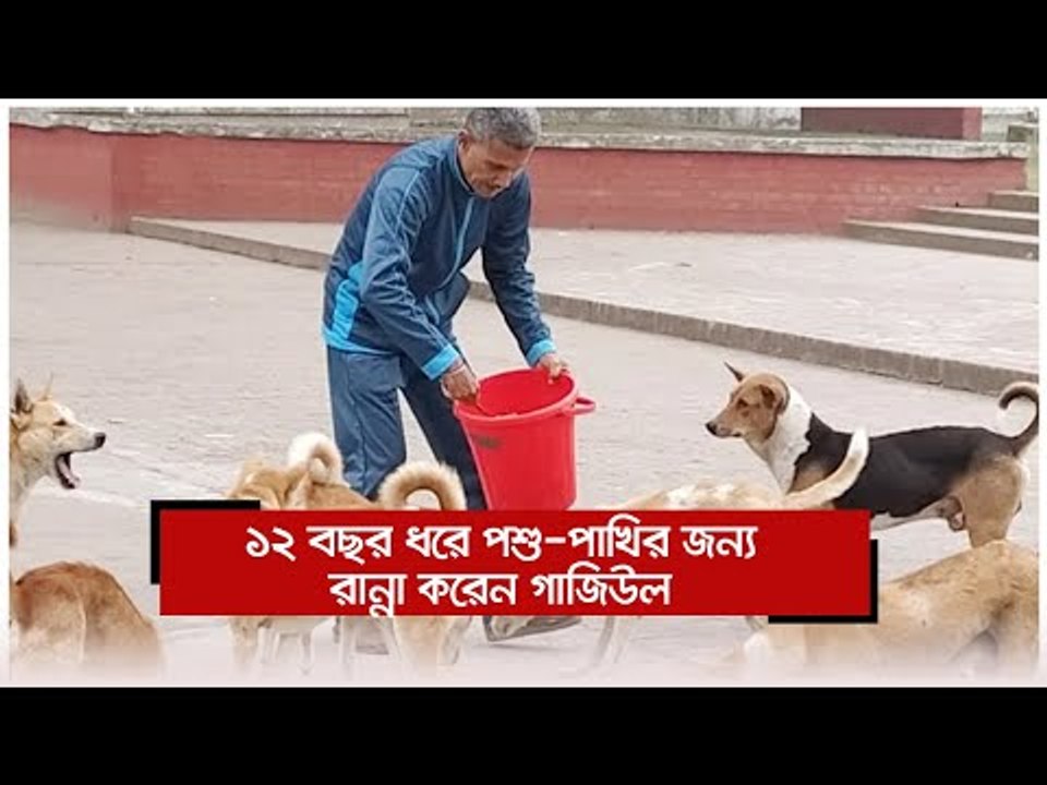 ১২ বছর ধরে পশু-পাখির জন্য রান্না করেন গাজিউল | Jagonews24.com