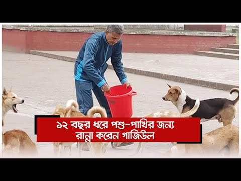 ১২ বছর ধরে পশু-পাখির জন্য রান্না করেন গাজিউল | Jagonews24.com