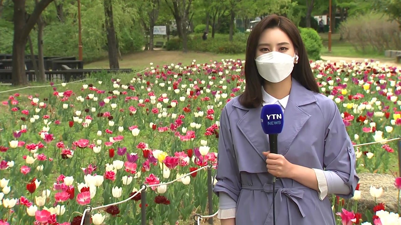 [날씨] 더위 물러나, 서울 23℃...강한 바람에 산발적 빗방울 / YTN