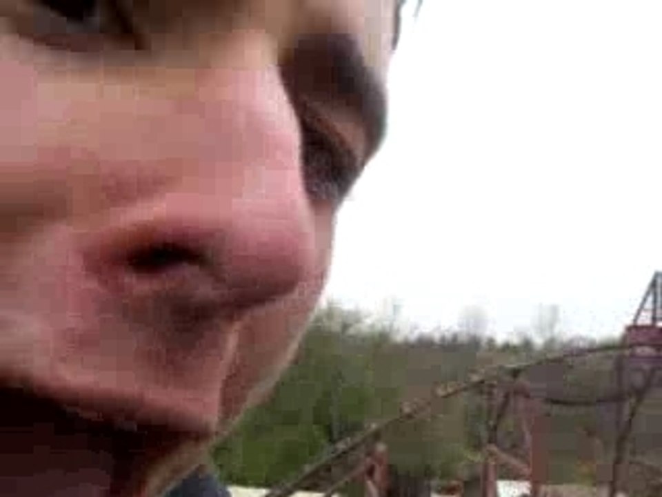 indiana jones disney land