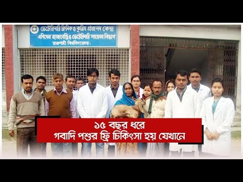 ১৫ বছর ধরে গবাদি পশুর ফ্রি চিকিৎসা হয় যেখানে | Jagonews24.com