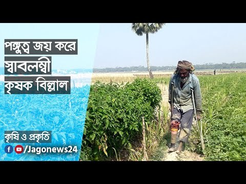 পঙ্গুত্ব জয় করে স্বাবলম্বী কৃষক বিল্লাল | Jagonews24.com
