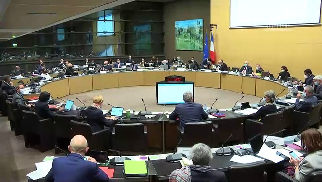 Commission des affaires étrangères : Développement solidaire et lutte contre les inégalités mondiales - Mercredi 10 février 2021