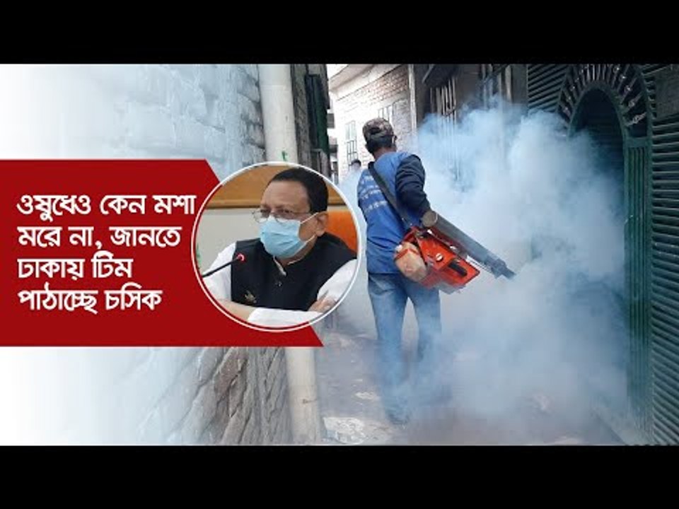ওষুধেও কেন মশা মরে না, জানতে ঢাকায় টিম পাঠাচ্ছে চসিক | Jagonews24.com