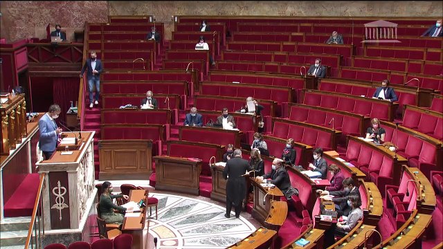 2ème séance : Article 1er de la Constitution et préservation de l’environnement (projet de loi constitutionnelle) (suite) - Mardi 9 mars 2021