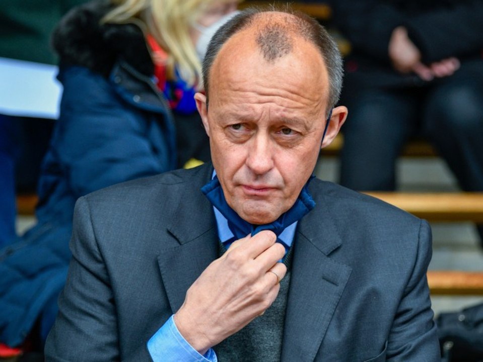 Friedrich merz fordert verbot der gendersprache