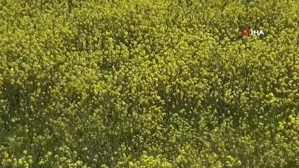 "Yaz mevsiminin geç gelmesi korkulacak bir durum değil"